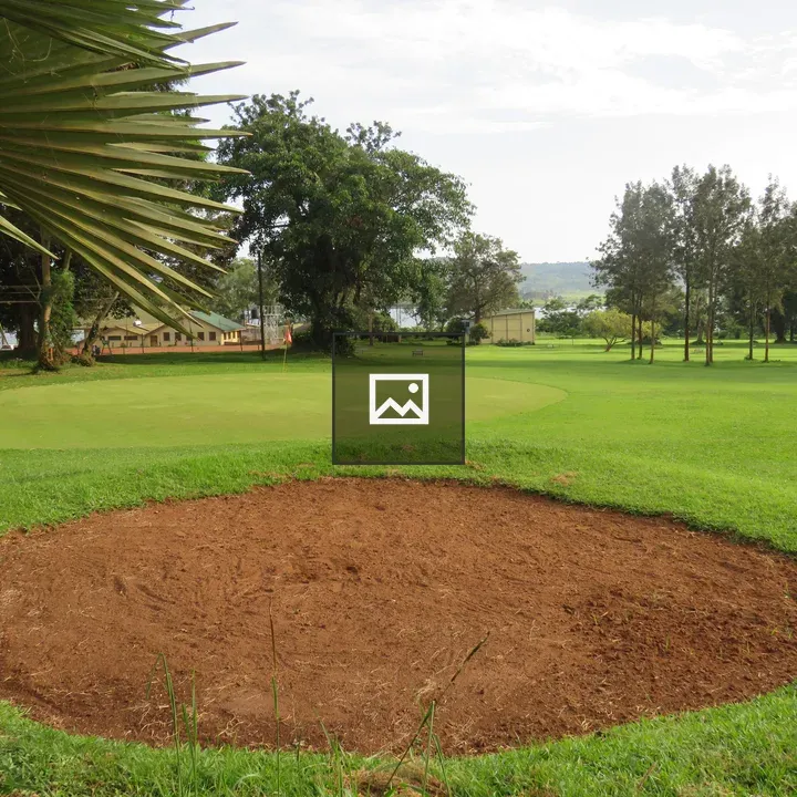 Circular sand bunker on a golf course