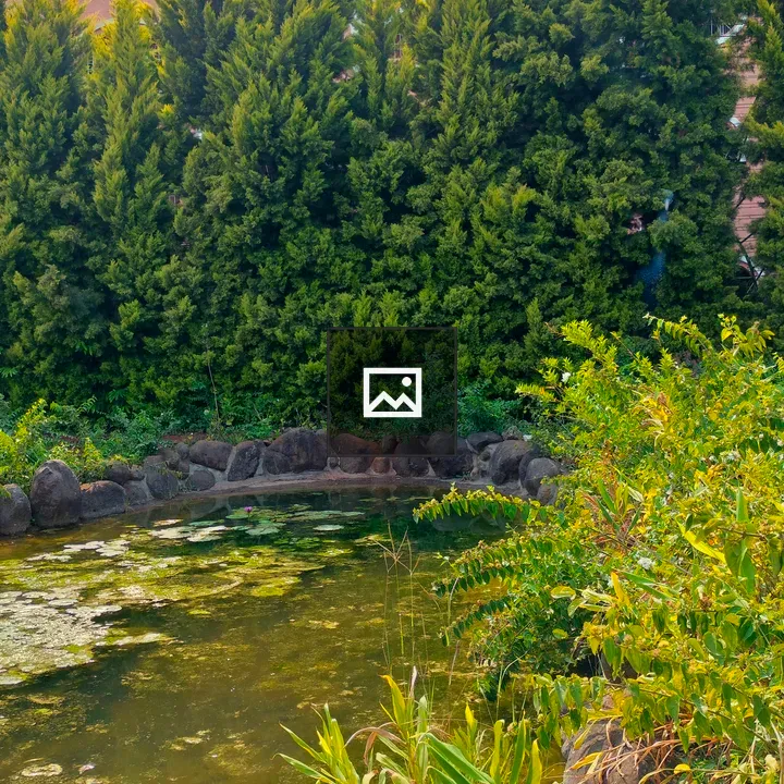 Trees by Pond and Pink Building