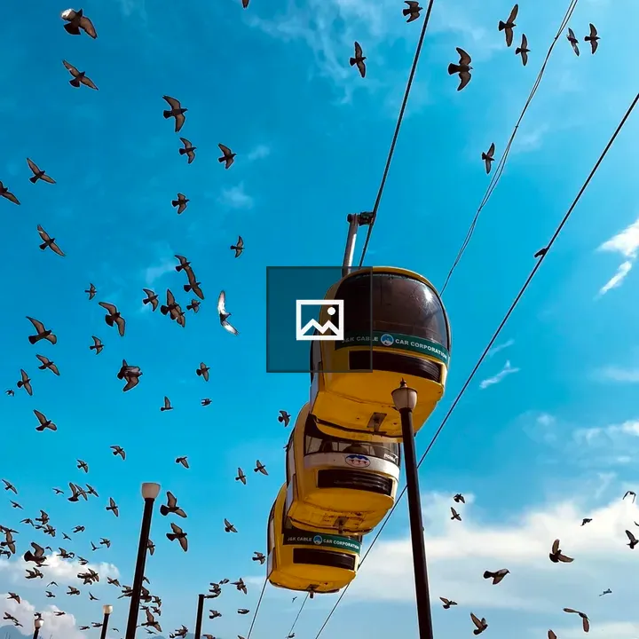 Cable car with birds in Srinagar