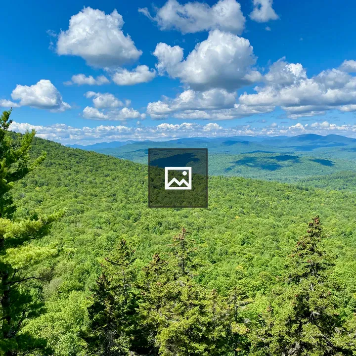 View in Evans Notch landscape