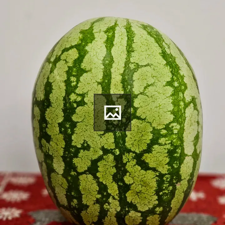 Watermelon on Patterned Cloth