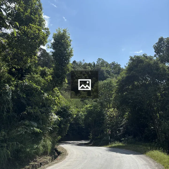 Winding Road Through Green Landscape