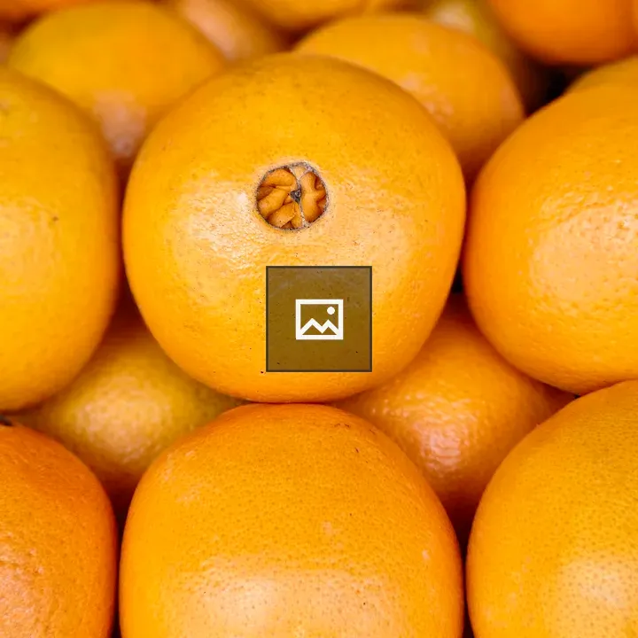 Citrus fruits for sale