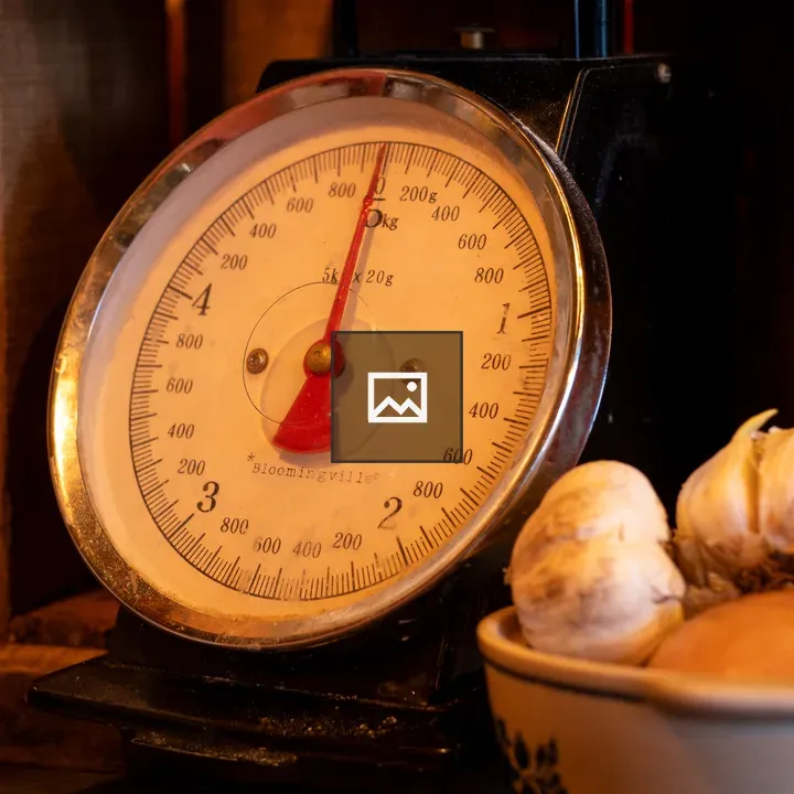 Classic kitchen scale with garlic
