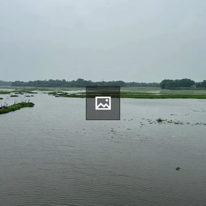 River Landscape with Marsh and Trees