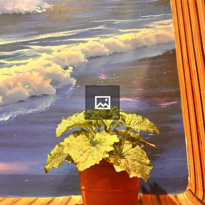 Leafy Green Plant in Pot on Shelf