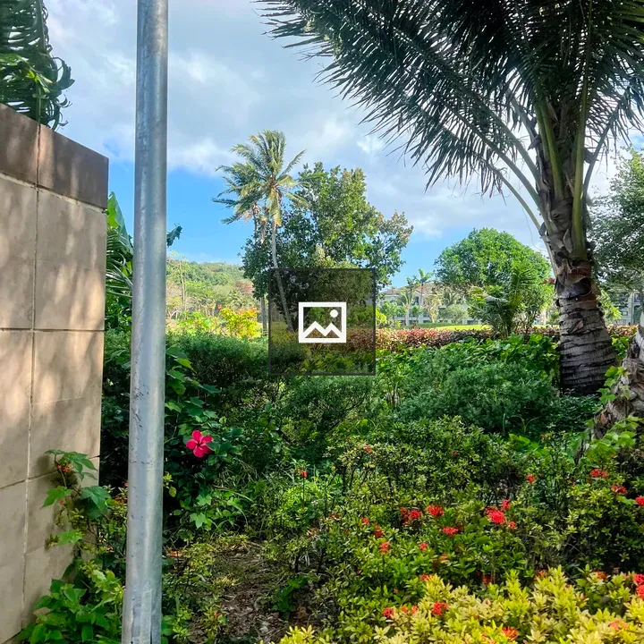Garden with palm and greenery