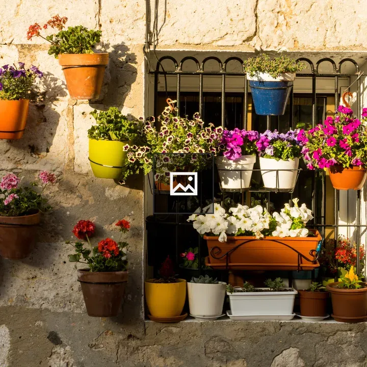 Pots with coloured flowers on a stone house façade