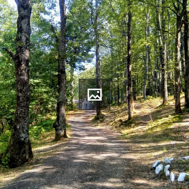 Path to Monastery at Pelister Mountain