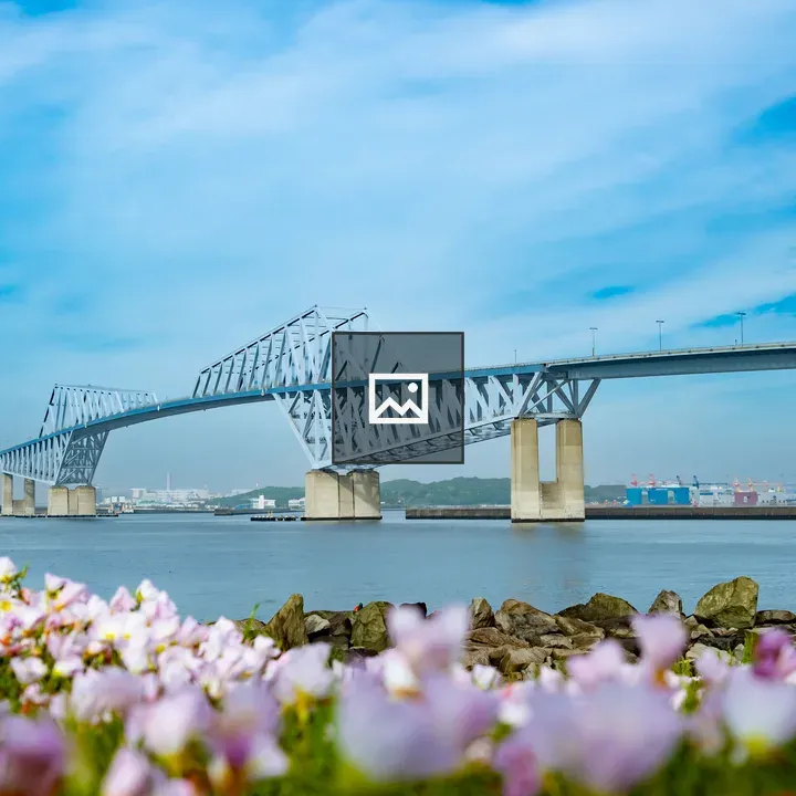 Tokyo Gate Bridge with Flowers