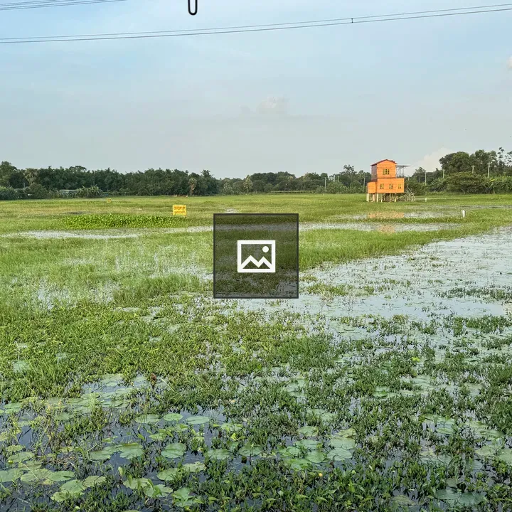 Marshland Under Green Roof Shelter