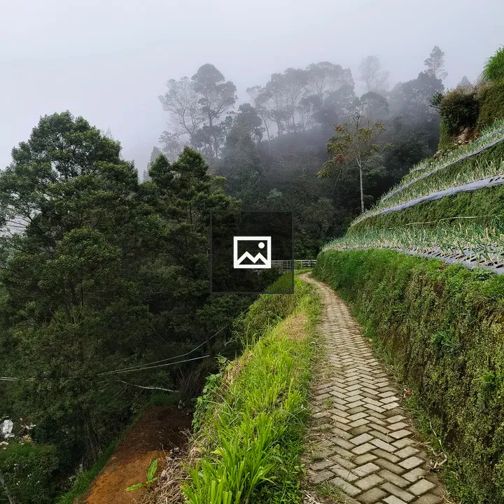 Path Through Terraced Greenery