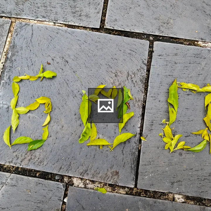 Number 600 in green leaves