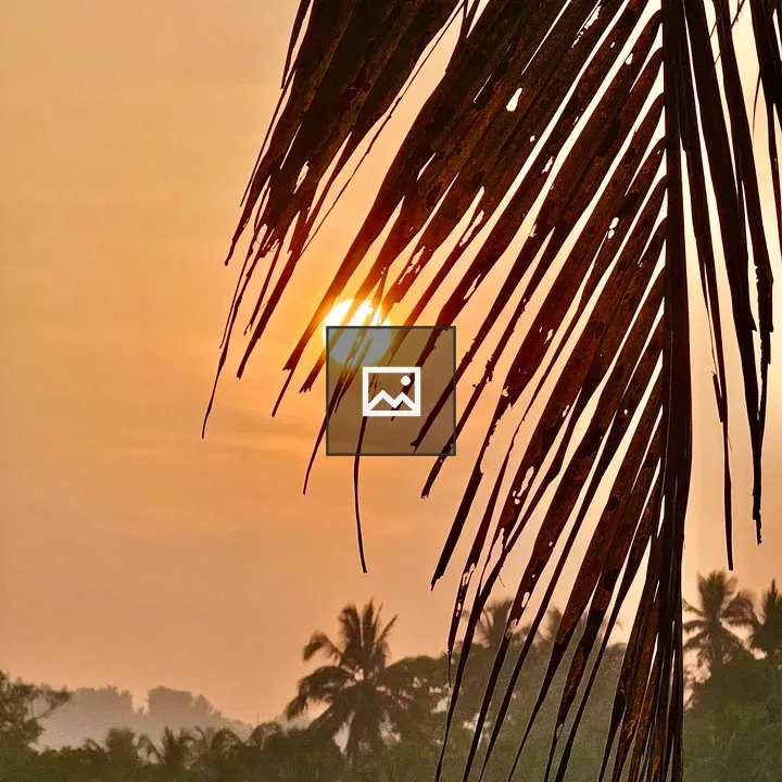 Sunrise through a coconut leaf