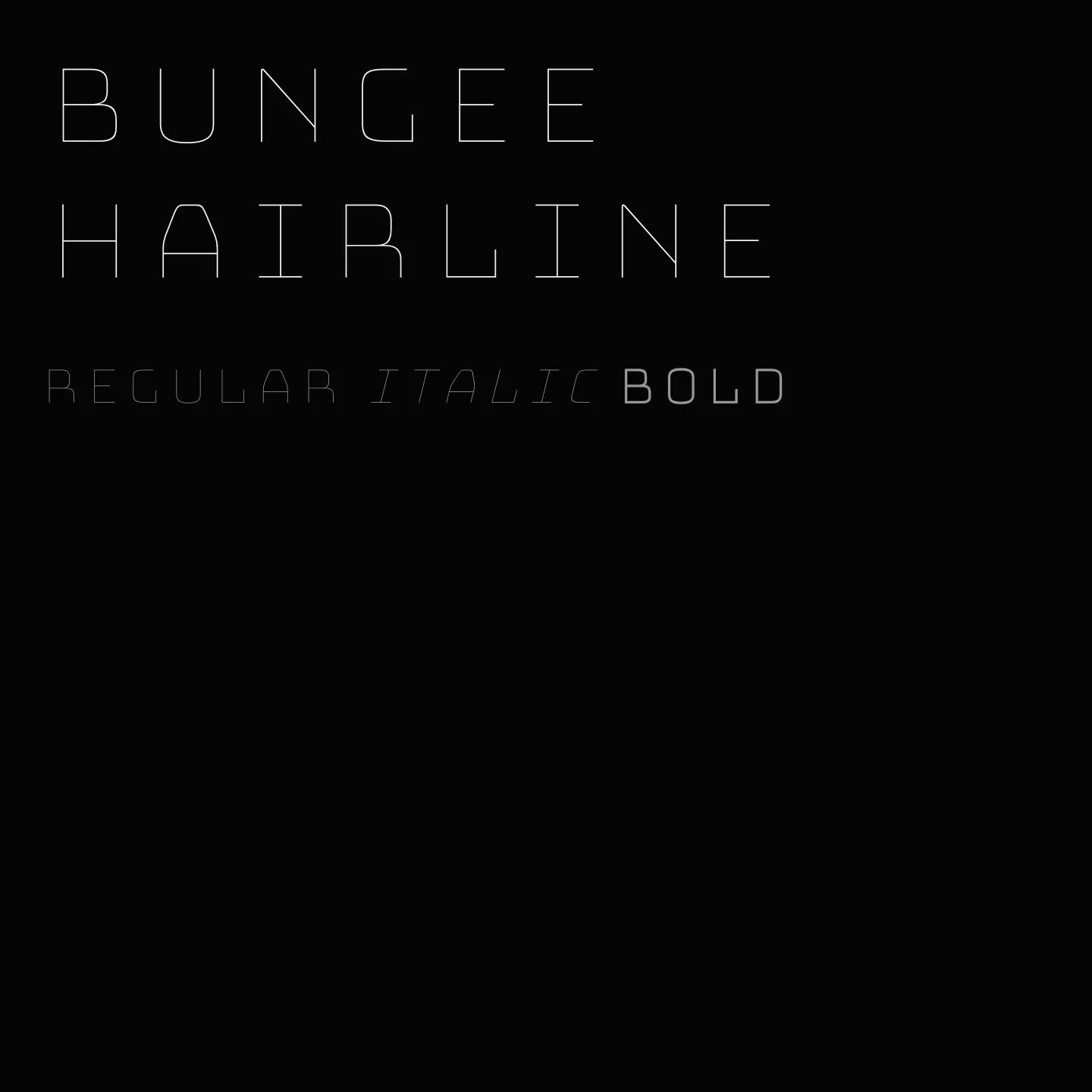 Bungee Hairline