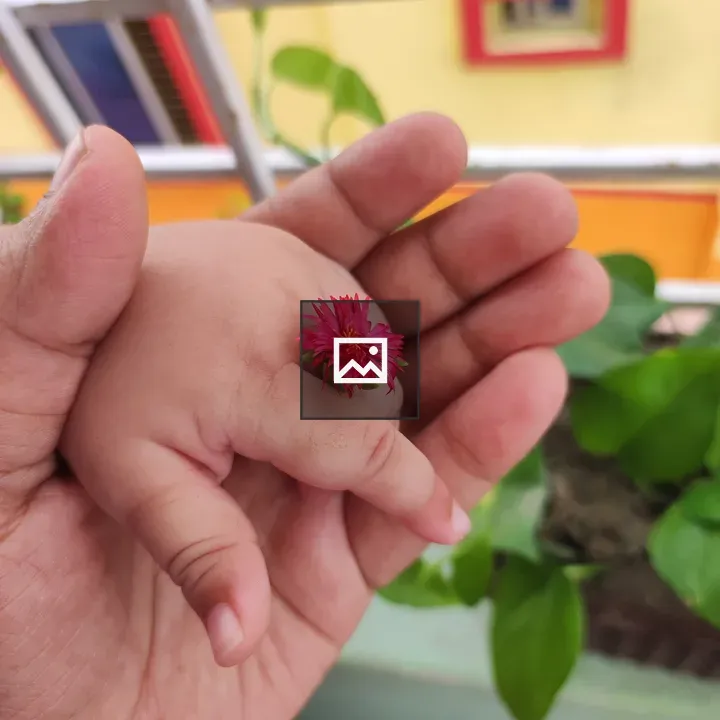 Pink Flower in Child’s Hand