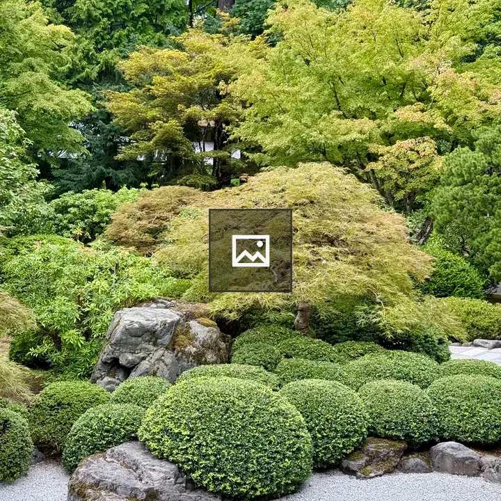Japanese Garden Rocks and Greens