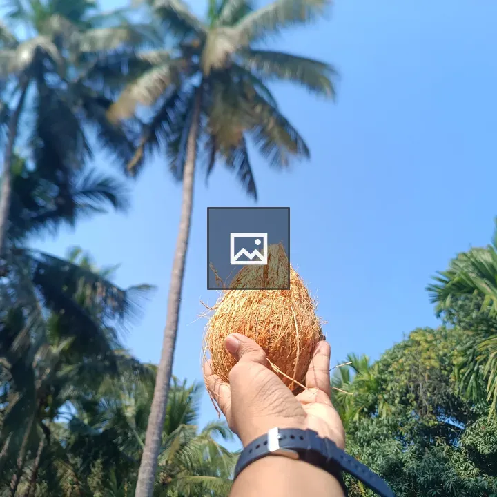 Hand holding coconut with blue strap watch