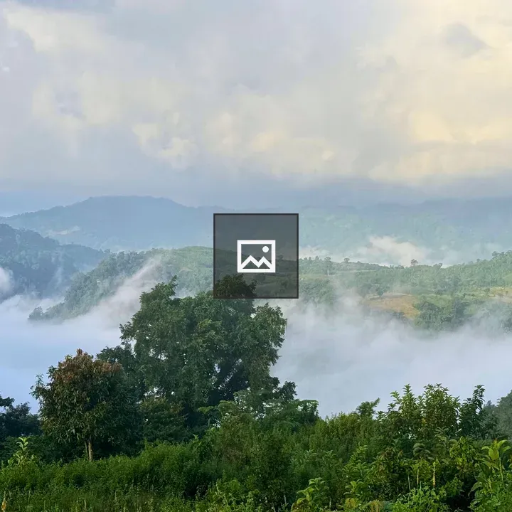 Green hills and forest landscape