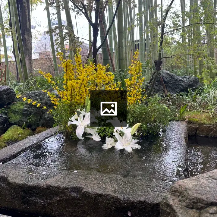 Flowers in a Rainy Kurashiki Fountain