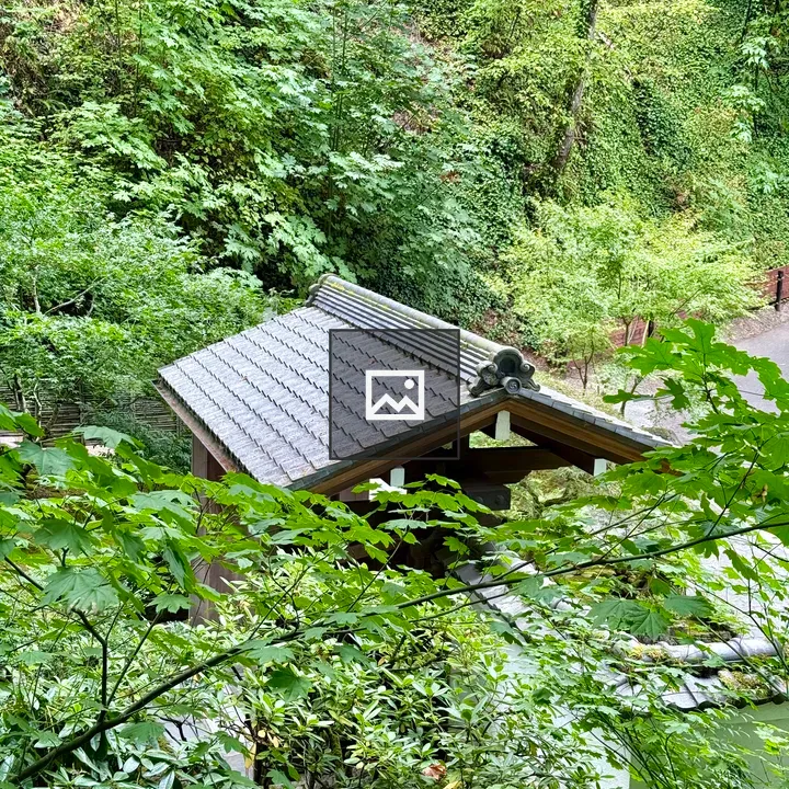 Traditional tiled roof in Japanese Garden