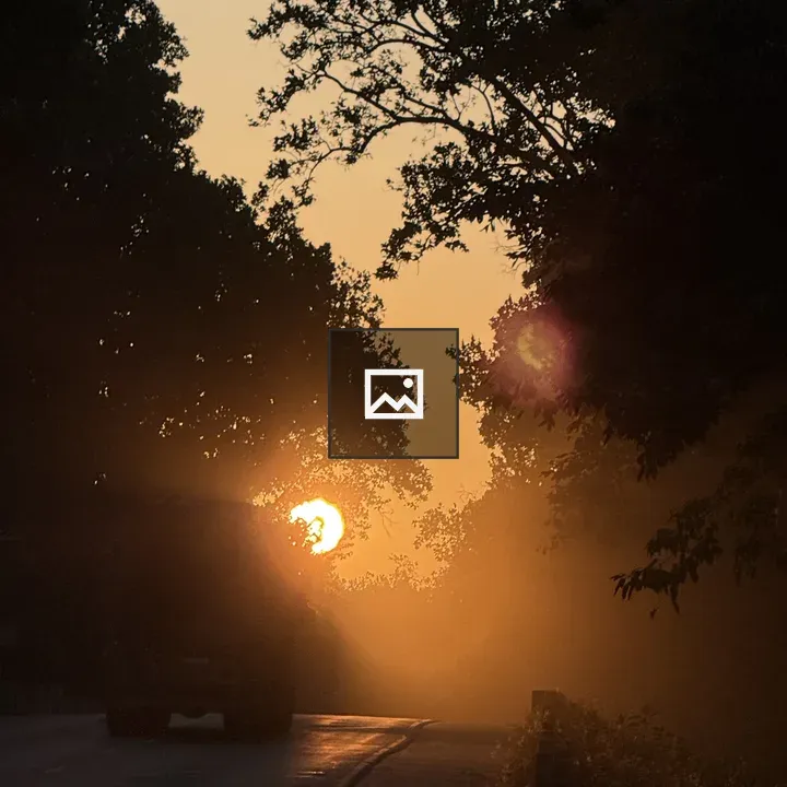 Sunset Beyond Trees