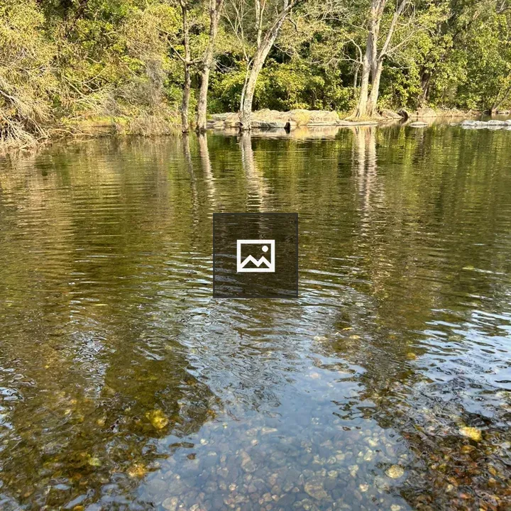 Calm Water and Greenery