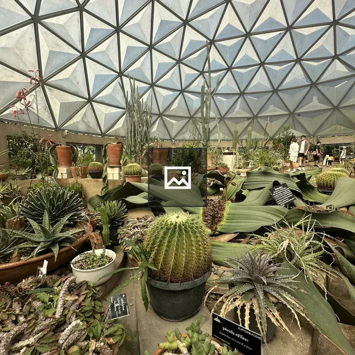 Dome greenhouse with cacti