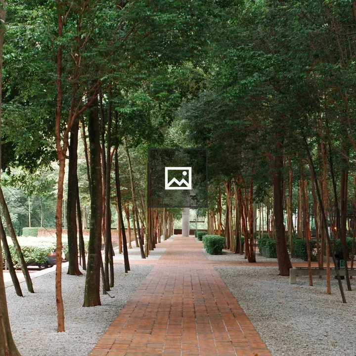 Peaceful pathway with trees