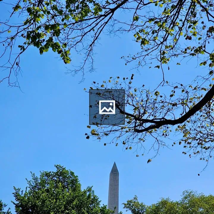 Washington Monument with Foliage
