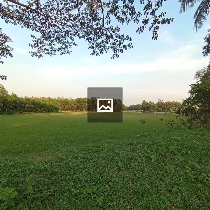 Green field under clear sky