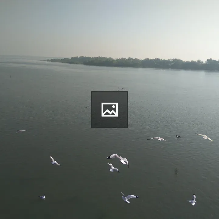 River scene with birds over calm water