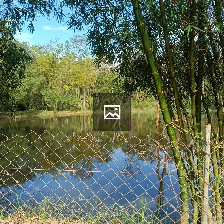Pond with bamboo and fence