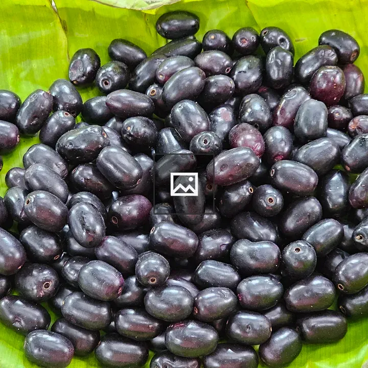 Malabar plum fruits on banana leaves