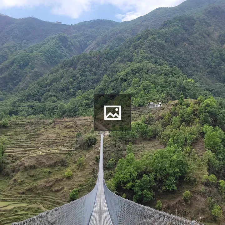 Suspension Bridge Over Green Valley