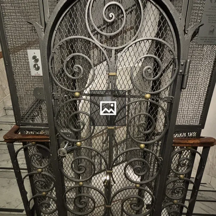 Ornate iron door for a lift