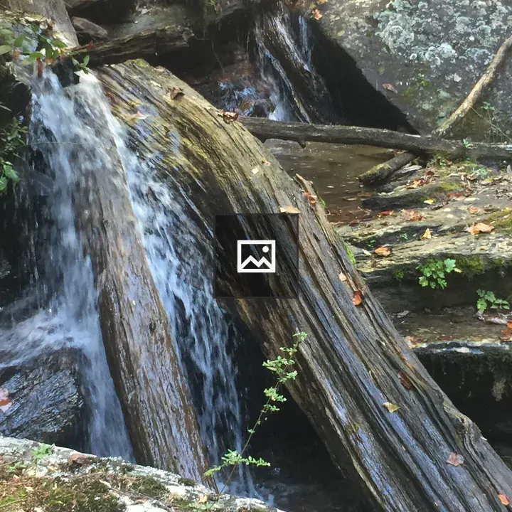 Waterfalls over Logs and Moss