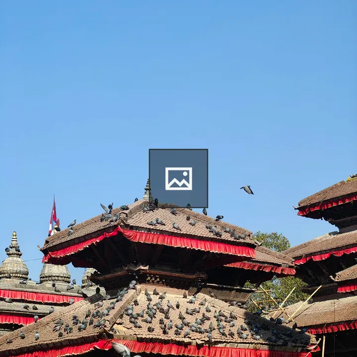 Pagoda Roofs with Pigeons