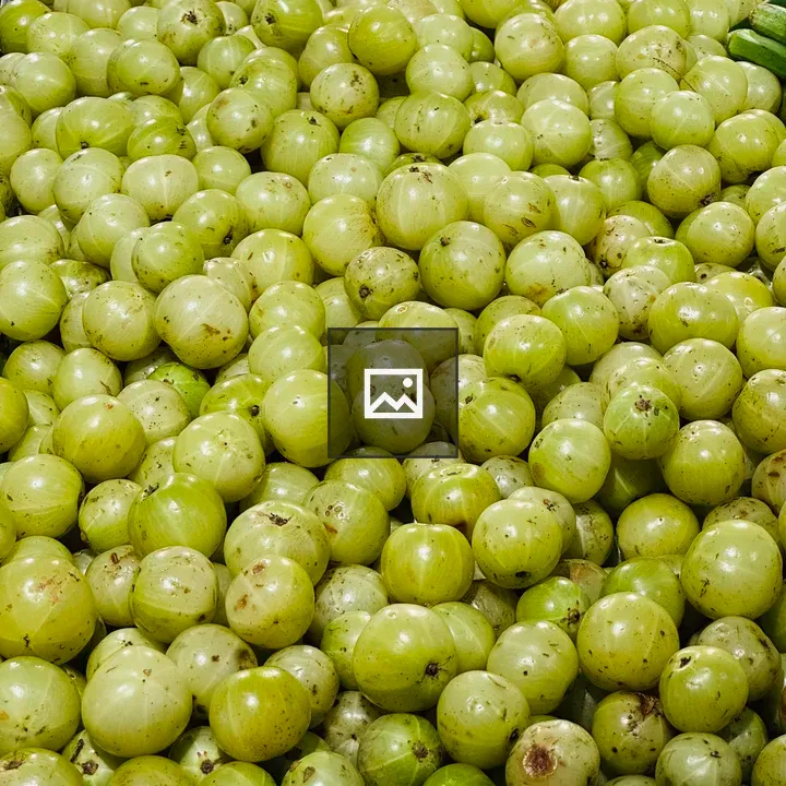 Amla Gooseberries in Portrait
