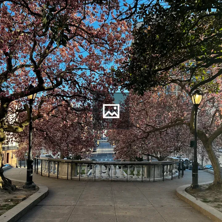 Staircases and pink magnolias