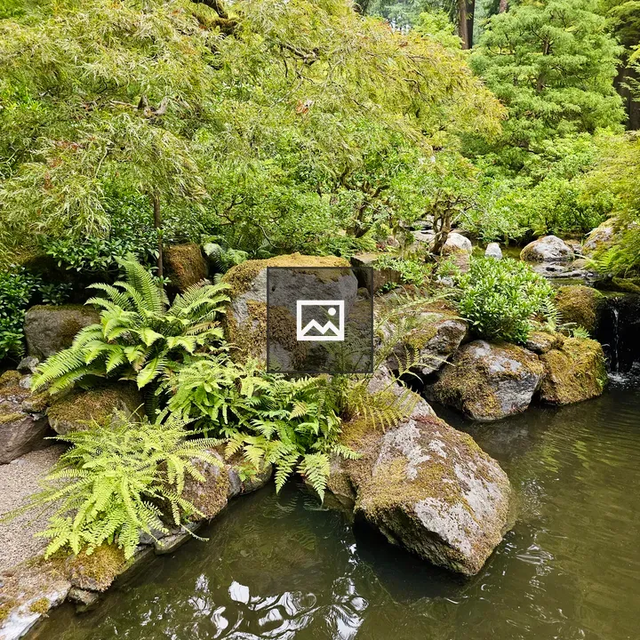 Serene pond at Portland Japanese Garden