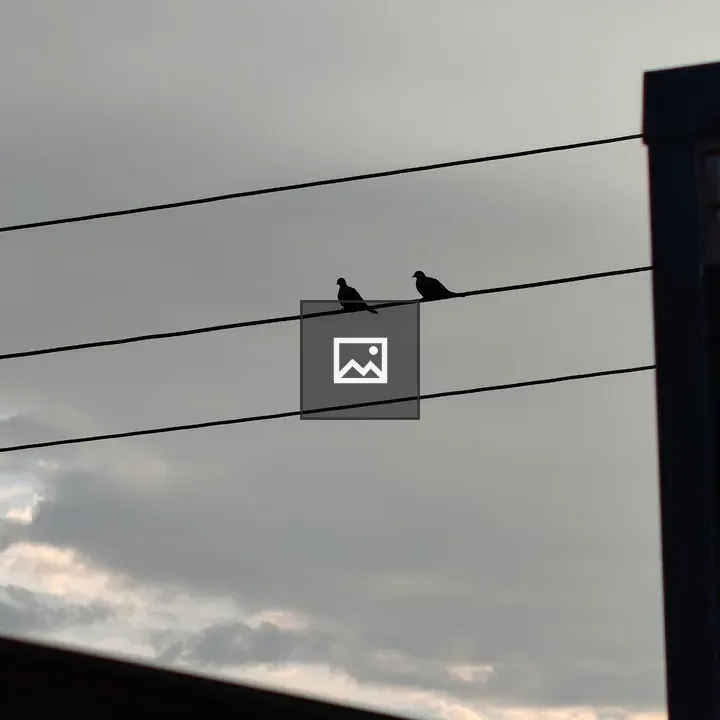 Two mourning doves on wires