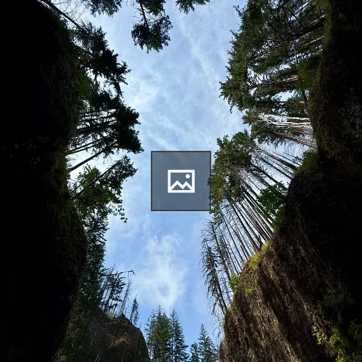 Forest canyon sky lookup
