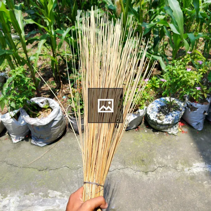 Hand holding bundle of sticks