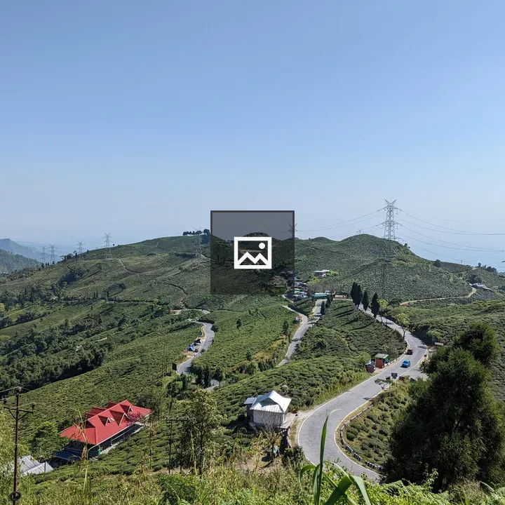 Darjeeling Nature Scene