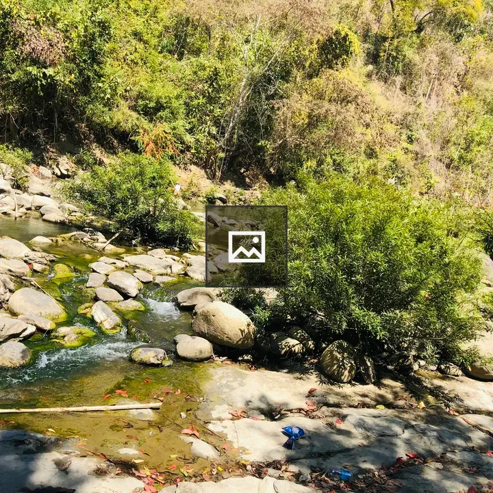 Shallow Stream Over Mossy Rocks