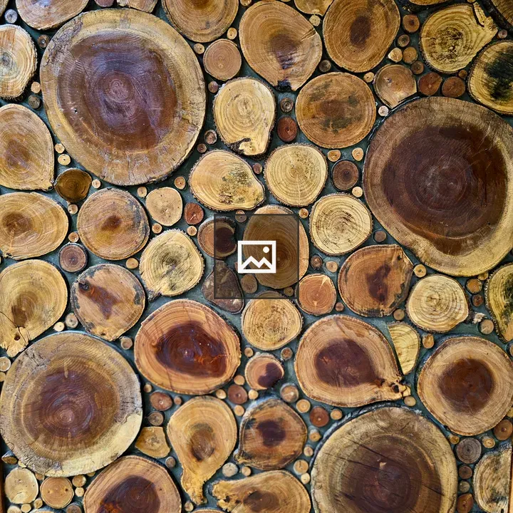 Wooden log slice pattern