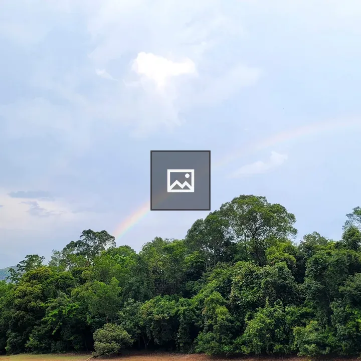 Rainbow Over Trees