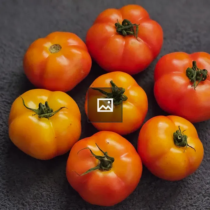 Tomatoes arranged in a colorful display