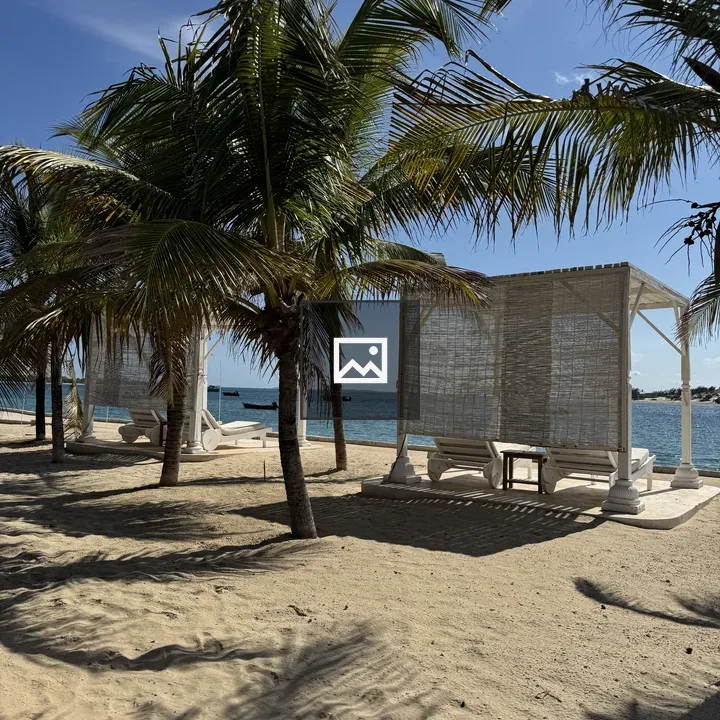 Palm trees on sandy beach